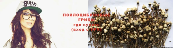 прущие крисы Дмитров