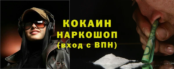 спайс Дмитриев